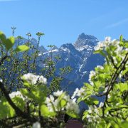 Sommerferien im Karwendel