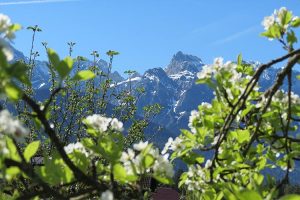 Bergfrühling im Karwendel