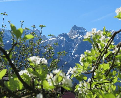 Sommerferien im Karwendel