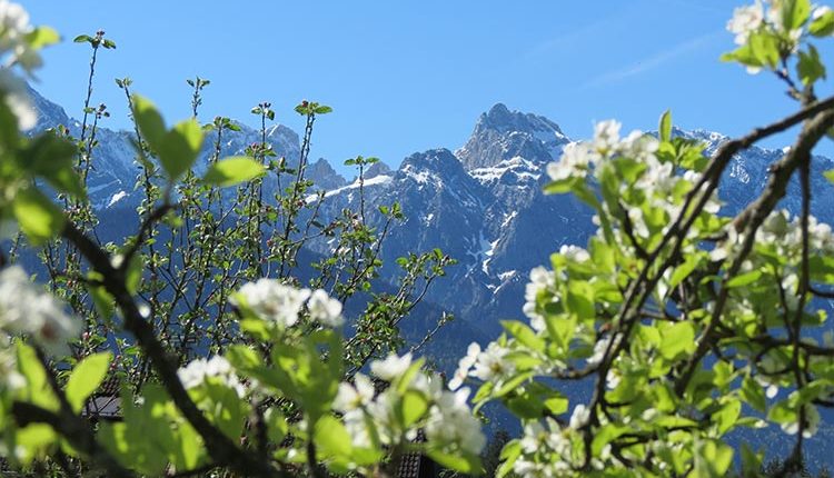 Sommerferien im Karwendel