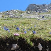 Karwendel-Wandern - BerglustPur Angebot