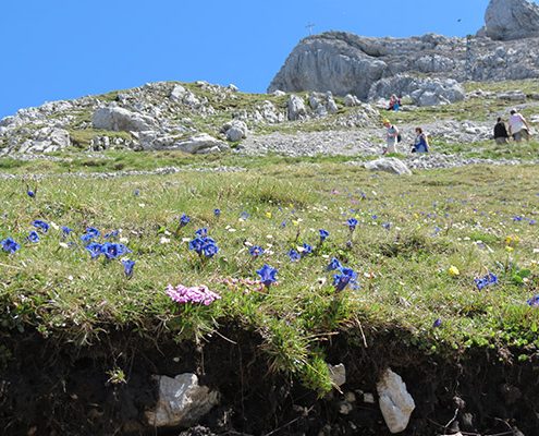 Karwendel-Wandern - BerglustPur Angebot