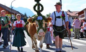 Der Almabtrieb in Krün vom Karwendel