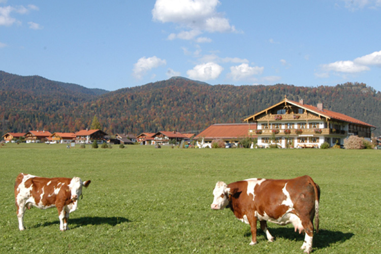 Ferien auf dem Bauernhof zum Bauer in Krün