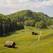 Wandern in den Bergen